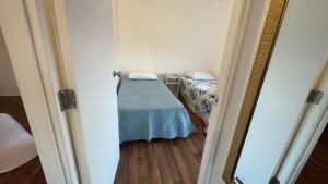 Vista Cordillera Chillán