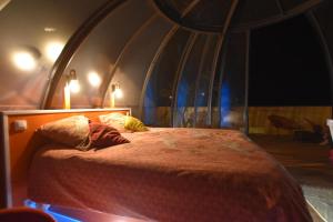 B&B / Chambres d'hotes Logements insolites du Domaine de la Tuiliere : photos des chambres