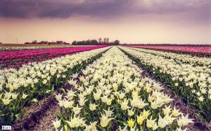 Ferienhaus-Naumann-Kreetz
