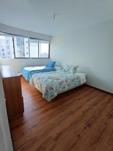 Nicolas Centro Osorno