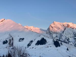 Appartements Studio cosy avec vue montagne au pied des pistes : photos des chambres