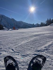 Appartements Studio cosy avec vue montagne au pied des pistes : photos des chambres