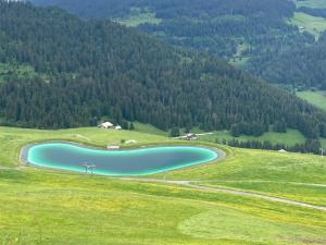 Appartements Studio cosy avec vue montagne au pied des pistes : photos des chambres
