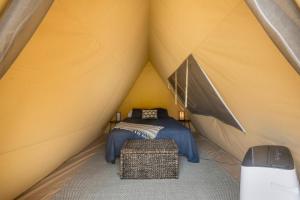 Cozy A-Frame Glamping Surrounded by Piney Woods