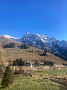 Appartements Studio cosy avec vue montagne au pied des pistes : Studio - Vue sur Montagne