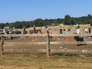 Appartements Escapade au Crouesty : photos des chambres