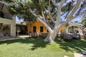 Meditation Haven 1BR Pitahaya