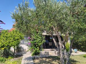 House Roko by the sea