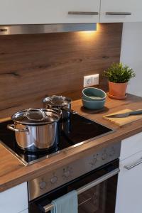 Ferienwohnung Schwan