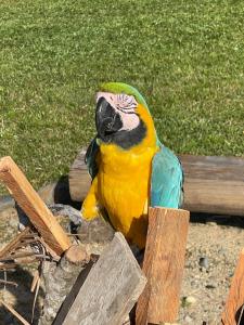 Jaguar Falls Ranch Resort & Spa