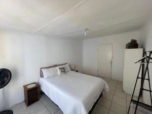 Evergreen Avocado Orchard