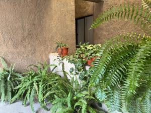 Cerca de todo en San Jerónimo