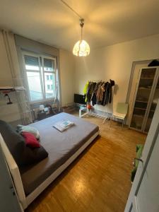 Rustic lakeside gem with rooftop looking to Zurich see