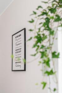 Między Falą a Lasem