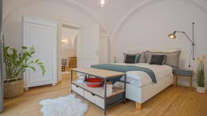 Central Luxury Garden Apartment Brasov