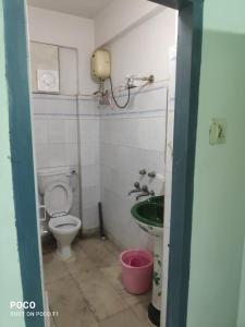 Seabeach rest and nest