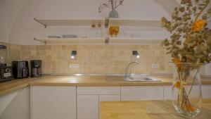 Central Luxury Garden Apartment Brasov