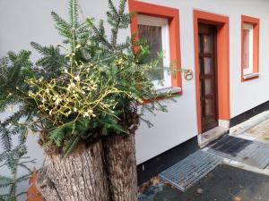 on the edge of town Comfortable Vacation Home