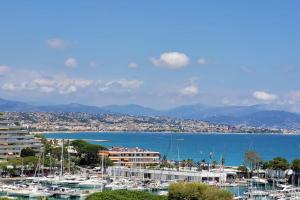 Lovely studio in Marina Baie des Anges