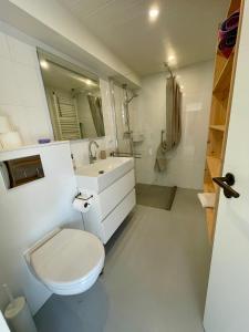 Holiday home close to beach and Keukenhof