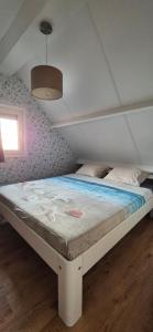 Alpaca World Friesland