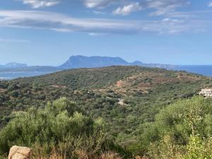 Agrustos Paradise img1