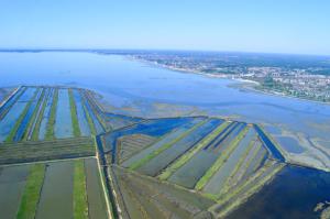 Maisons de vacances Pretty wooden house with terrace - Bassin d'Arcachon : photos des chambres