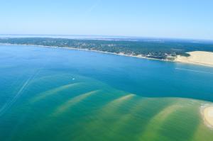 Maisons de vacances Pretty wooden house with terrace - Bassin d'Arcachon : photos des chambres