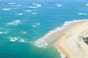 Maisons de vacances Pretty wooden house with terrace - Bassin d'Arcachon : photos des chambres