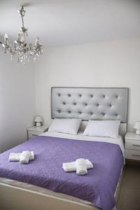 Villa Dalmatia with pool