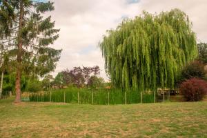 Maisons de vacances Grand GITE Le saule en scie - proche du PuyduFou : photos des chambres