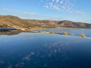 Luxury villa with private infinity pool and stunning sea view