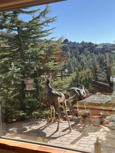 Casa Bella Vista -Hot tub -Amazing Views -Fire Pit