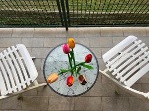 La Casa Gialla di Valentina