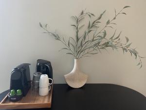 Luxe suite - new bed - WiFi- Safe city center