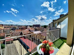Appartements Le Perchoir-WIFI-Face a la Gare-Terrasses-Proche tous commerces : photos des chambres