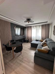 Appartements Tres bel appartement PremiumSteinbach-parking : Appartement 1 Chambre