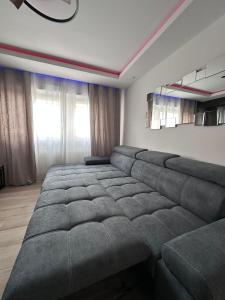 Appartements Tres bel appartement PremiumSteinbach-parking : photos des chambres