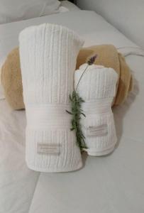 Casa das flores - Paraiso no Vale das Videiras, com natureza, canto dos pássaros e perto do centrinho