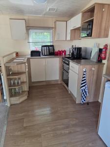 Mallard at Carlton meres