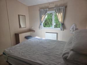 Mallard at Carlton meres