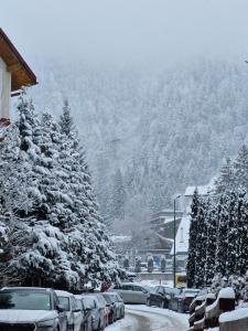 Studio Poiana Brasov