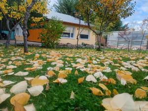 Quincho Coihues - Ubytování bez kategorie ve městě Esquel