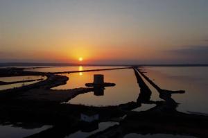 SEA DREAMS Lisa- Tamarit