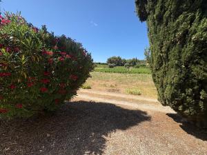 Villas Villa les Faou-Anis : photos des chambres