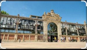 Appartements Studio Gili Meno : photos des chambres