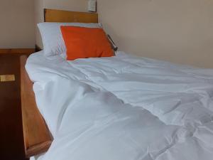 Posada Turística del Paraguay Basiliza II