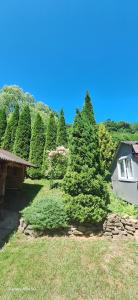 Agroturystyka Pod Kołami