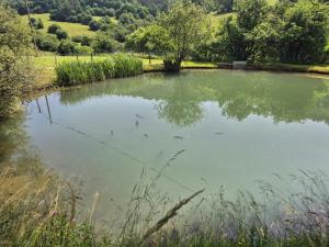 Maisons de vacances Old Mill, Pool and Nature : photos des chambres