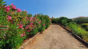 Villas Villa de charme, vue sur mer : photos des chambres